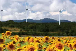 Nhật Bản biến 'vùng đất chết' Fukushima thành thủ phủ điện gió, điện mặt trời